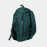 Varlion Summum Radio Green 2023