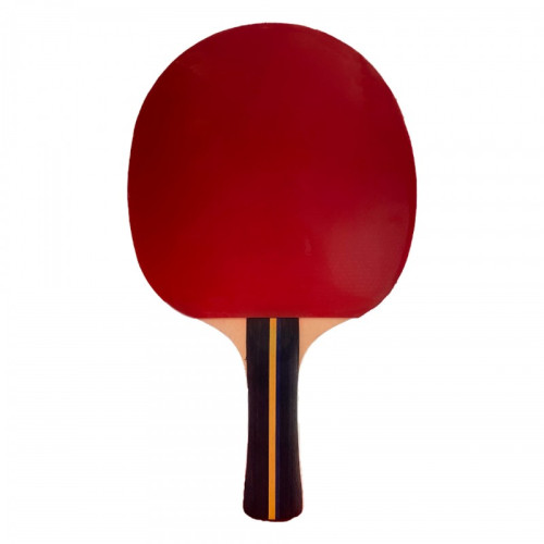 RAQUETA TENIS DE MESA SOFTEE P200