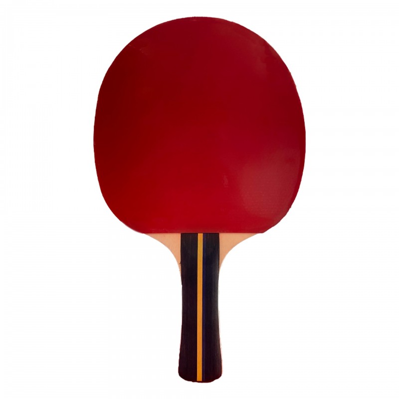 RAQUETA TENIS DE MESA SOFTEE P200