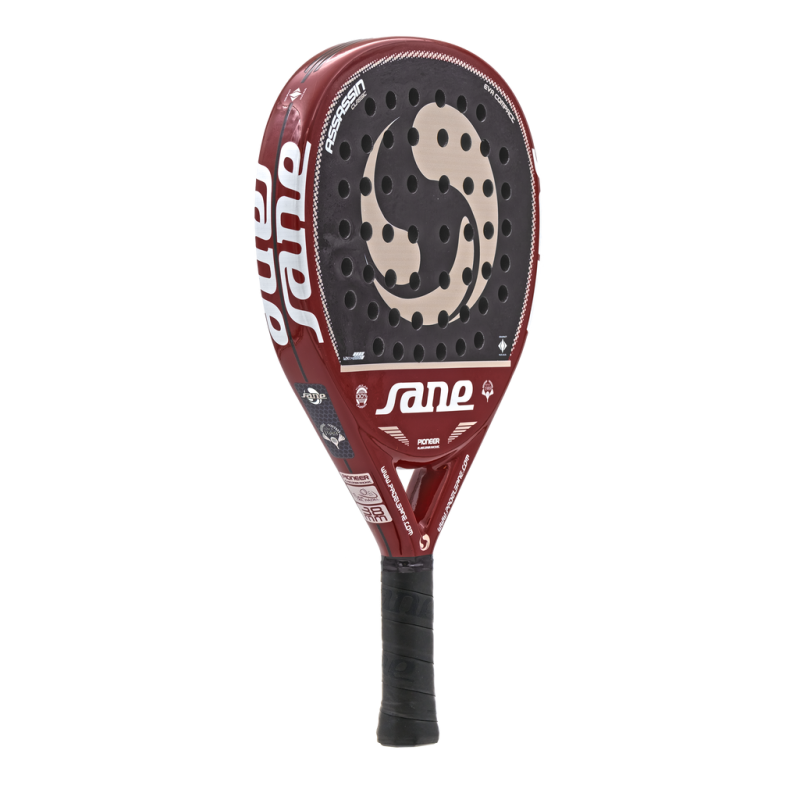 Sane ASSASSIN Classic 12K