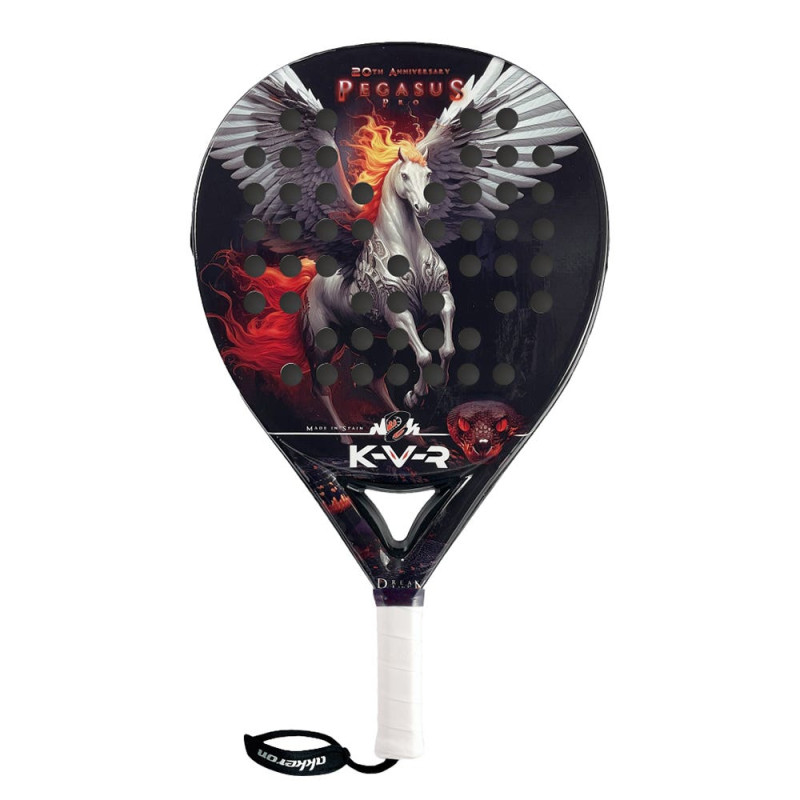 AKKERON PEGASUS PRO 20 TH ANNIVERSARIY